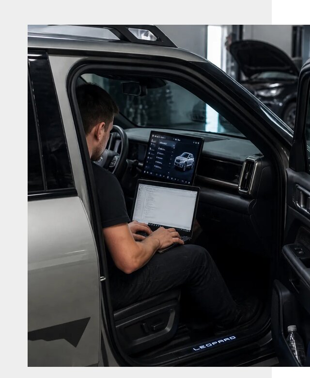 Русификация BYD Leopard 3 в Пушкине по цене от 21526 р. | ФастМобиль-Пшн